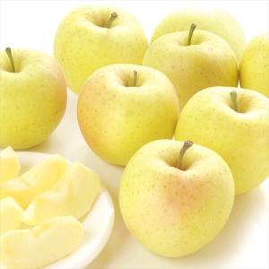 りんご 5kg 青森産 ちび星の金貨（25〜30玉）小玉 希少品種 送料無料 林檎 フルーツ食品 国華園