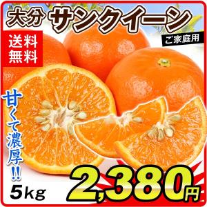 みかん 大分産 訳あり サンクイーン（5kg）ご家庭用 セミノール  訳あり 春カンキツ フルーツ 果物 数量限定 国華園
