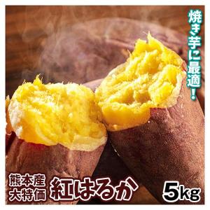 さつまいも 5kg 紅はるか大特価 熊本産 ご家庭用 送料無料 食品｜seikaokoku