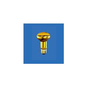 ASAHI 防虫電球 皮膜加工(着色) R62 E-26 110V 40W5個入セット