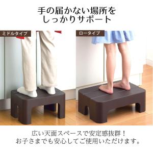 踏み台 ステップ どこでもステップ ロータイプ...の詳細画像1