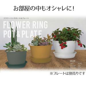 フラワーリングポット 6号 ベストコ | プラ...の詳細画像1