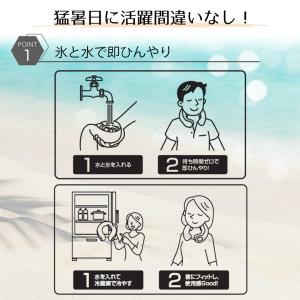 極冷え アイシング ネッククーラー LIVPL...の詳細画像1