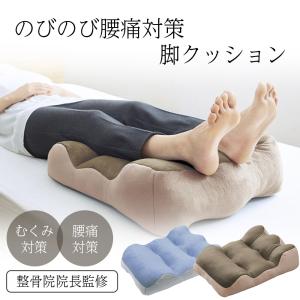 のびのび腰痛対策 脚クッション コジット | 健...の商品画像