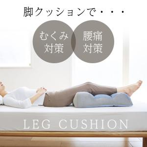 のびのび腰痛対策 脚クッション コジット | ...の詳細画像1