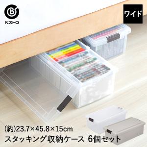 リビング ＆ クローゼット ケース ワイド ( 仕切り付 ) 収納ケース