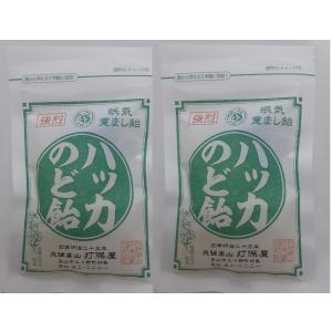 飛騨高山 打保屋 眠気覚まし飴 ハッカのど飴 強烈 80グラム入× ２袋セットの商品画像