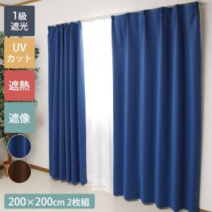 カーテンセット 1級遮光 遮熱 UVカット 遮像 「 Dアース 」 100×105cm