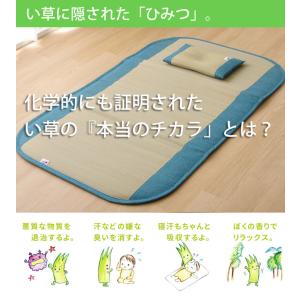国産い草使用 ベビー用 い草枕「 さわやか 」...の詳細画像2