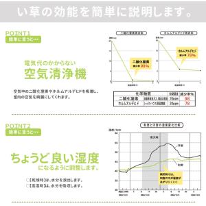 国産い草使用 ベビー用 い草枕「 さわやか 」...の詳細画像4