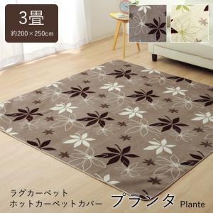 【美品】✨早い者勝ち商品✨絨毯3点セット❗️おまけ付き⁉️｛総額2万円以上} ホットカーペットカバー 3畳 洗える 「 Dフランネルラグカーペット