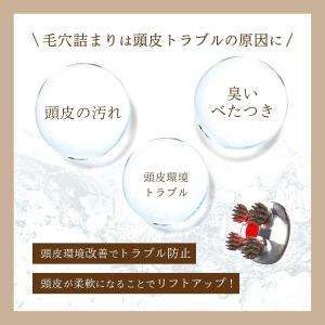 ZOGANKIN(ゾーガンキン) スカルプ 電...の詳細画像2