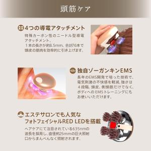 ZOGANKIN(ゾーガンキン) スカルプ 電...の詳細画像3