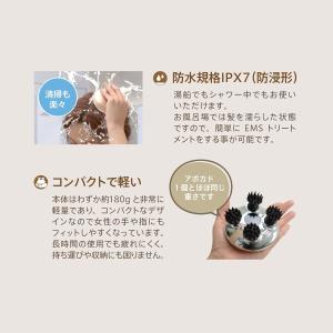 ZOGANKIN(ゾーガンキン) スカルプ 電...の詳細画像4