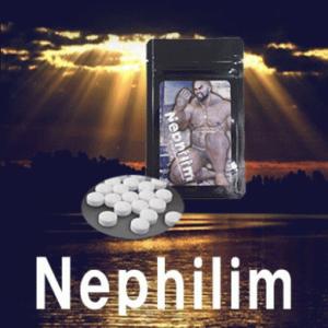 送料無料 ネフィリム Nephilim nephilim サプリメント 健康食品 メンズ 男性力 男...