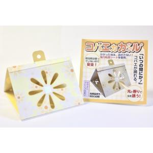 コバエカカール (10個入り)の詳細画像1
