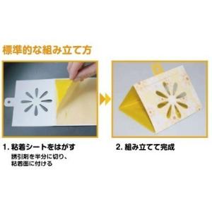 コバエカカール (10個入り)の詳細画像2