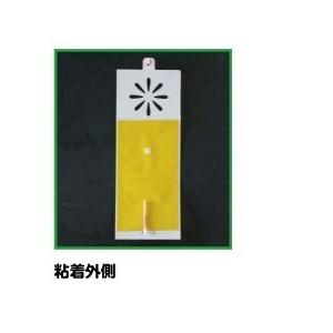 コバエカカール (10個入り)の詳細画像3