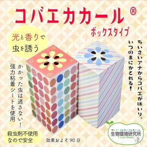 コバエカカール ボックスタイプ（水玉柄・ストライプ柄）各１個入り