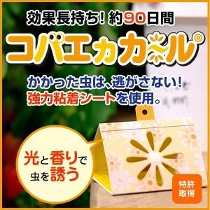 コバエカカール（4個入り）｜seiken-store-pro