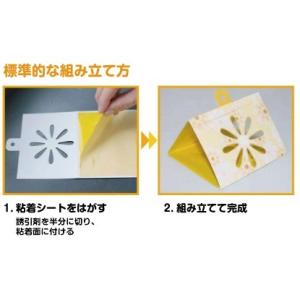 コバエカカール(4個入り)の詳細画像2