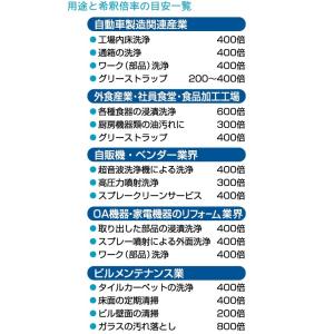 酸素発生型除菌洗浄剤 CS-100 1kgの詳細画像2