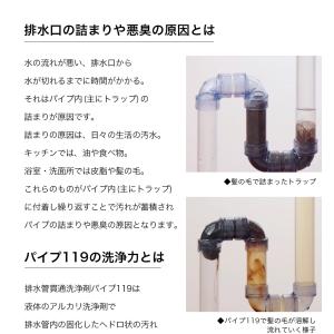 排水管洗浄剤 パイプ119 500ml 排水溝...の詳細画像2
