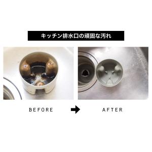 排水管洗浄剤 パイプ119 500ml 排水溝...の詳細画像5