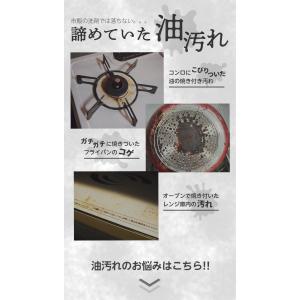 油汚れ落としジェル119 300ml キッチン...の詳細画像5