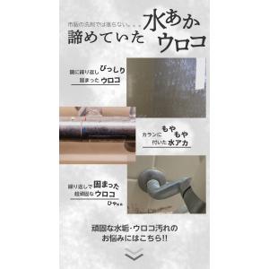 水垢・ウロコ取りジェル119 100ml お風...の詳細画像5