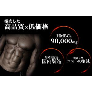 4/13 17時〜20%OFFセール★ HMB...の詳細画像2