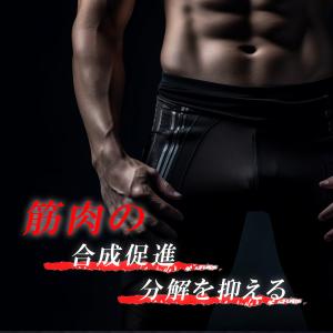 4/13 17時〜20%OFFセール★ HMB...の詳細画像3