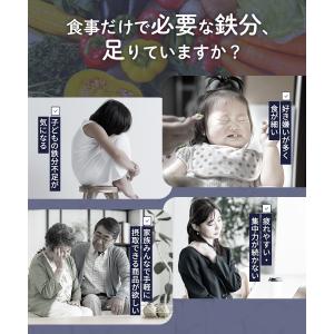 鉄分ゼリー 30包 ぶどう味 人口甘味料不使用...の詳細画像2