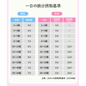 鉄分ゼリー 30包 ぶどう味 人口甘味料不使用...の詳細画像4