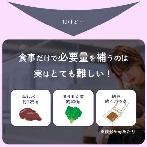 鉄分ゼリー 30包 ぶどう味 人口甘味料不使用...の詳細画像5