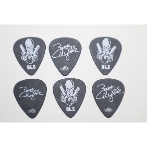 シグニチャーピック6枚セット　ZAKK WYLDE Signature Pick