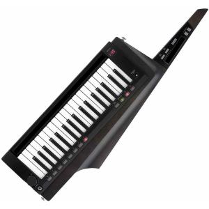 新品即決！送料込み！KORG RK-100S 2 BK KEYTAR ショルダーキーボード｜seikodo