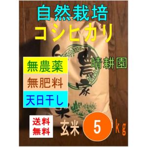 コシヒカリ 令和7年産 自然栽培 無農薬 無肥料 天日干し 玄米