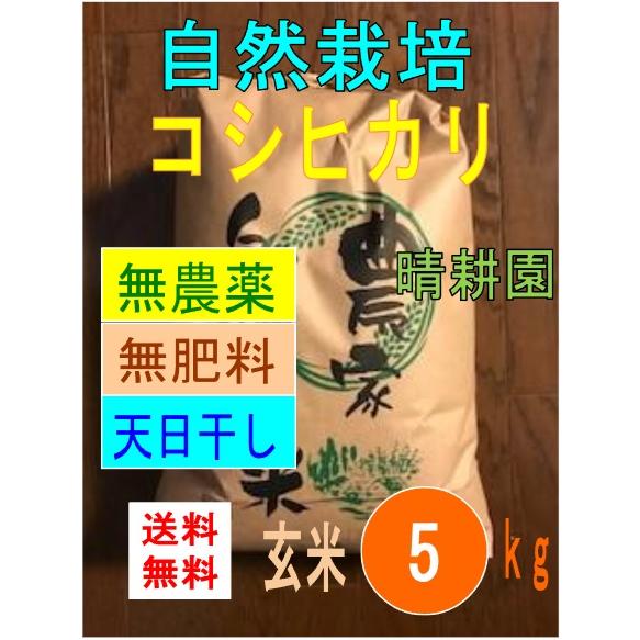 令和7年産　コシヒカリ　自然栽培　無農薬　無肥料　天日干し　玄米5kg