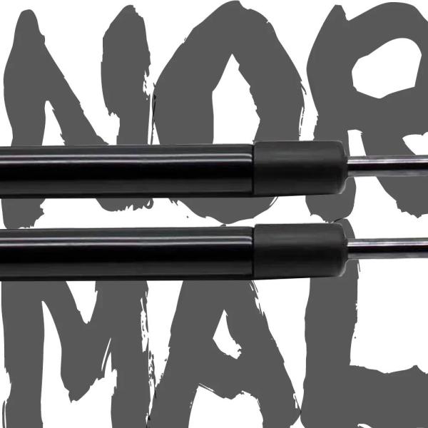 【今だけ特価】トヨタ タンドラ 2007-2021用リアブートリフトサポート テールゲート支援 ガス...