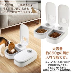 ペット用 自動給餌器 犬 猫 自動餌やり機 ウ...の詳細画像4