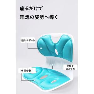姿勢矯正 椅子 子供 大人 骨盤サポートチェア...の詳細画像4