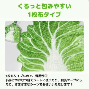 白菜 おくるみ 帽子付き 可愛い ギフト 赤ち...の詳細画像1