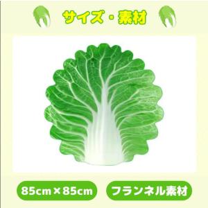 白菜 おくるみ 帽子付き 可愛い ギフト 赤ち...の詳細画像3