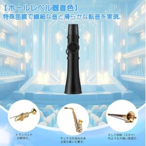 カズー 楽器 ストラップ付 吹くだけ 楽しい ...の詳細画像1