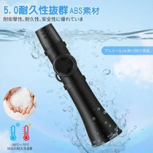 カズー 楽器 ストラップ付 吹くだけ 楽しい ...の詳細画像3