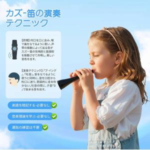 カズー 楽器 ストラップ付 吹くだけ 楽しい ...の詳細画像4
