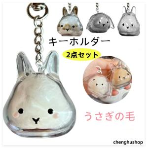 2点セット うさぎの毛 キーホルダー ペット 遺毛 ケース 透明 ペット 遺毛入れ うさぎの毛収納ボトル ペットメモリアルボトル うさぎのキーホルダー 持ち歩き