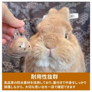 2点セット うさぎの毛 キーホルダー ペット ...の詳細画像2