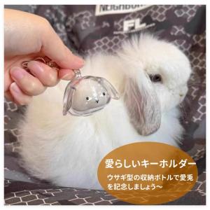 2点セット うさぎの毛 キーホルダー ペット ...の詳細画像3